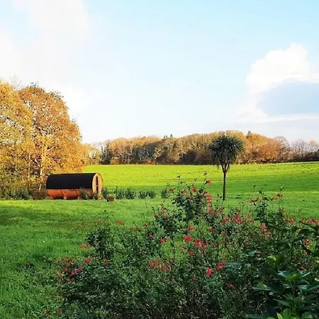 Tonneau Bulle Insolite, Vue Sur Vignoble